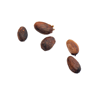 Dealerul tău de cacao și ciocolată bean to bar