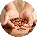 Dealerul tău de cacao și ciocolată bean to bar