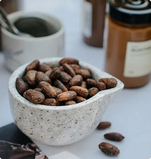 Dealerul tău de cacao și ciocolată bean to bar